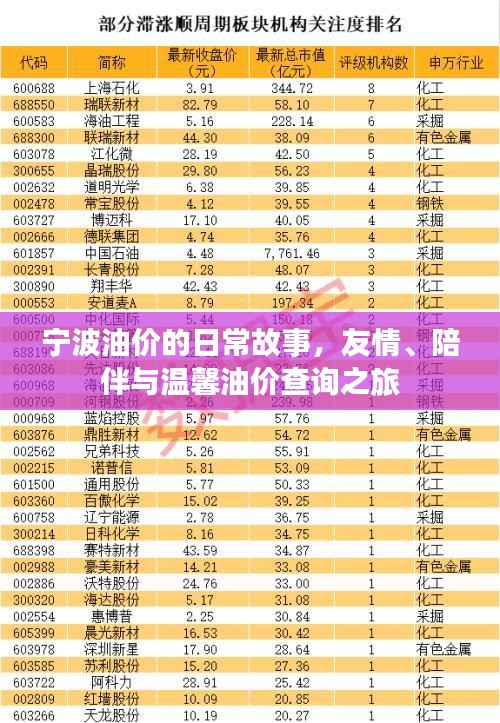 宁波油价日常，友情、陪伴与温馨的油价查询之旅