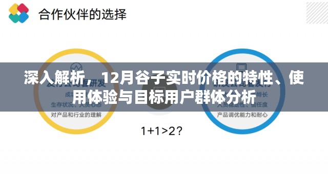 谷子实时价格特性解析，用户体验与目标用户群体深度分析报告