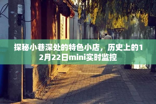 探秘小巷深处的特色小店，历史视角下的实时观察之旅——12月22日mini实时监控