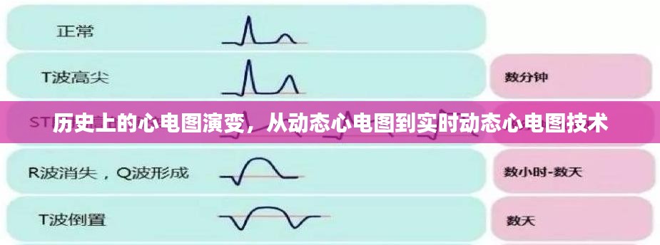 历史上的心电图演变，从动态到实时动态技术的演进之路