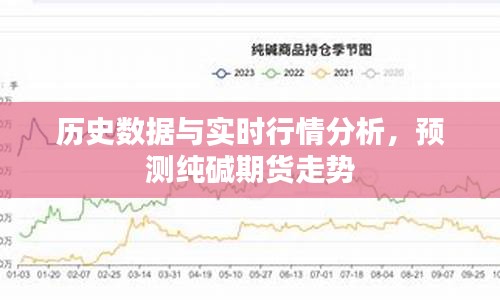 历史数据与实时行情分析，预测纯碱期货走势展望