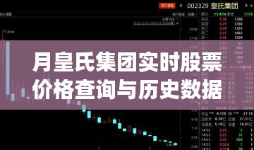 月皇氏集团股票实时价格查询与数据分析指南，适合初学者及进阶用户参考