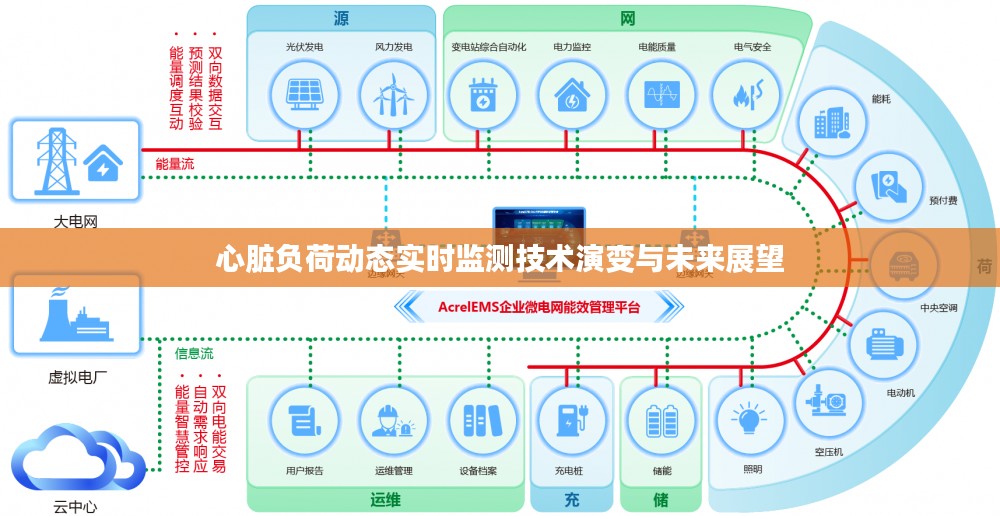 心脏负荷动态实时监测技术的演变及未来展望