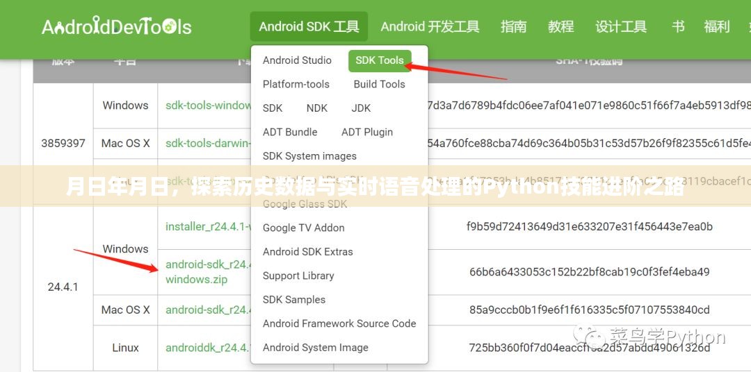 Python技能进阶之路，探索历史数据与实时语音处理