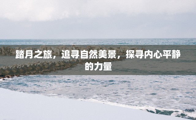 踏月之旅，追寻自然美景与内心平静的力量