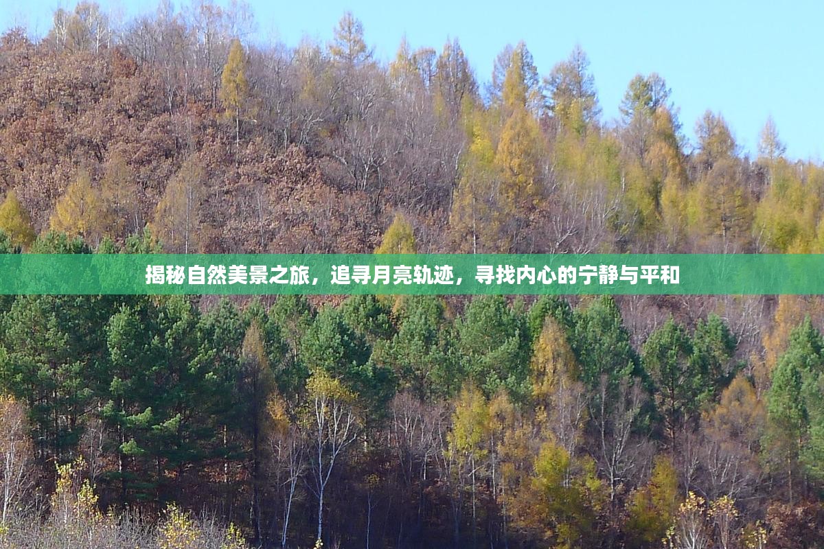 追寻月亮轨迹，探寻自然美景，寻觅内心宁静之旅