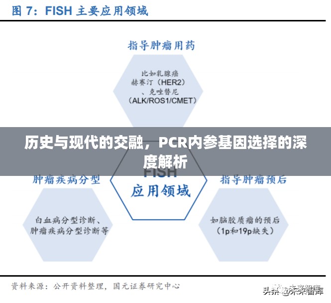 PCR内参基因选择，历史与现代交融的深度解析