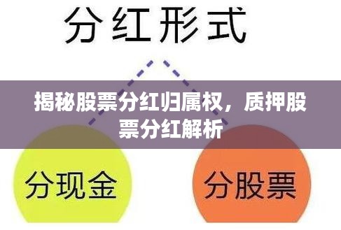 揭秘股票分红归属权，质押股票分红解析