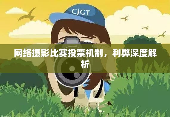 网络摄影比赛投票机制，利弊深度解析