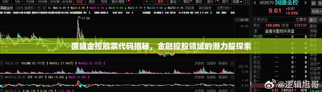 国盛金控股票代码揭秘，金融控股领域的潜力股探索