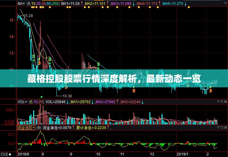 藏格控股股票行情深度解析，最新动态一览