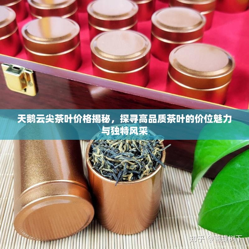 天鹅云尖茶叶价格揭秘，探寻高品质茶叶的价位魅力与独特风采