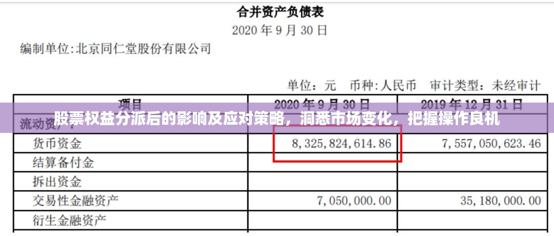 股票权益分派后的影响及应对策略，洞悉市场变化，把握操作良机