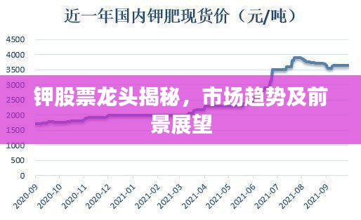 钾股票龙头揭秘，市场趋势及前景展望