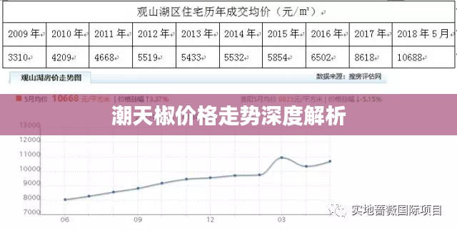 潮天椒价格走势深度解析