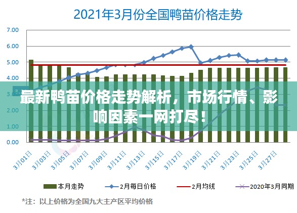 最新鸭苗价格走势解析，市场行情、影响因素一网打尽！