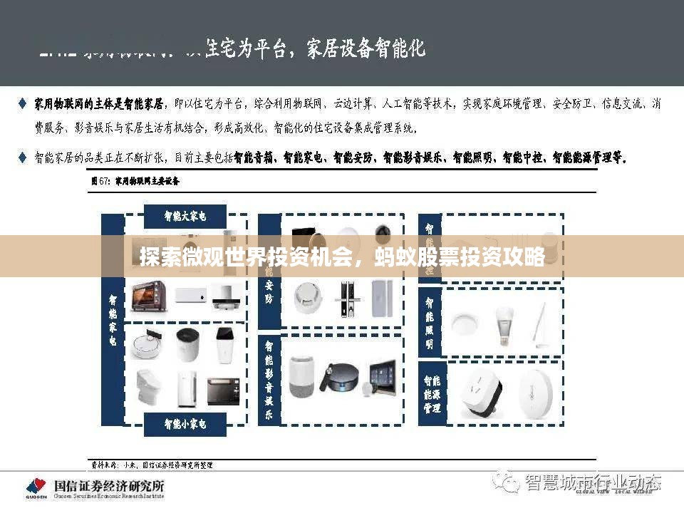 探索微观世界投资机会，蚂蚁股票投资攻略