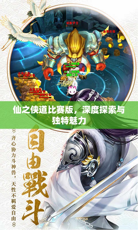 仙之侠道比赛版，深度探索与独特魅力