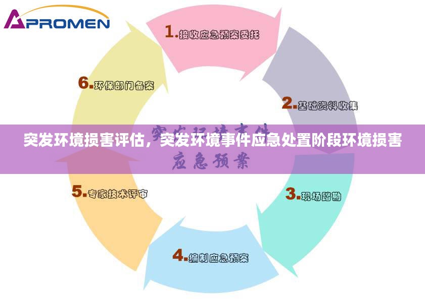 突发环境损害评估，突发环境事件应急处置阶段环境损害 