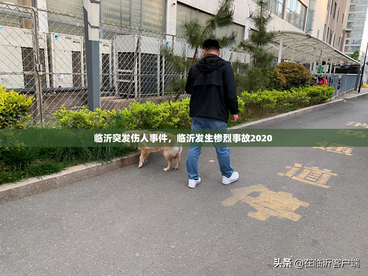 临沂突发伤人事件，临沂发生惨烈事故2020 