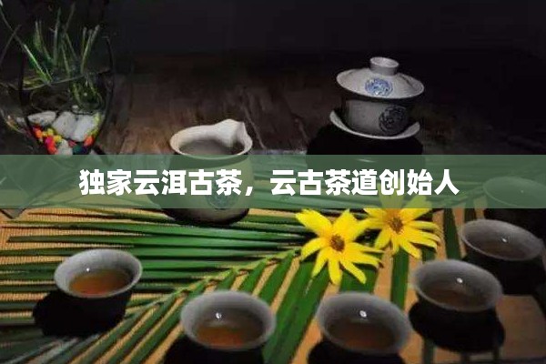 独家云洱古茶，云古茶道创始人 