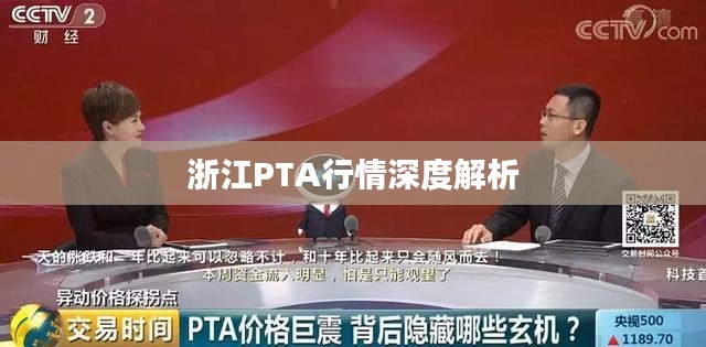 浙江PTA行情深度解析