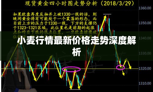 小麦行情最新价格走势深度解析