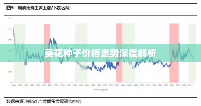 葵花种子价格走势深度解析