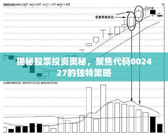 揭秘股票投资奥秘，聚焦代码002427的独特策略