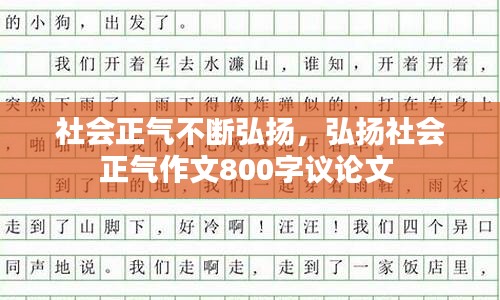 社会正气不断弘扬，弘扬社会正气作文800字议论文 