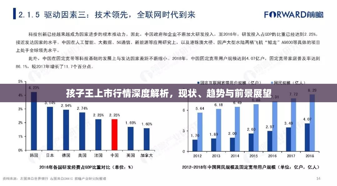 孩子王上市行情深度解析，现状、趋势与前景展望