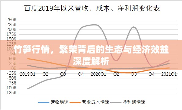 竹笋行情，繁荣背后的生态与经济效益深度解析