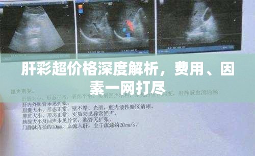 肝彩超价格深度解析，费用、因素一网打尽