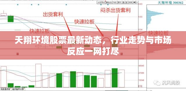 天翔环境股票最新动态，行业走势与市场反应一网打尽