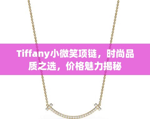 Tiffany小微笑项链，时尚品质之选，价格魅力揭秘