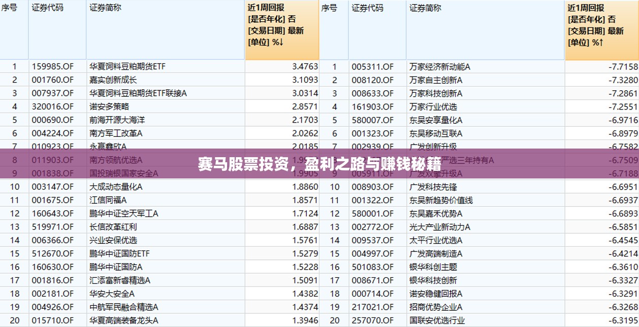 赛马股票投资，盈利之路与赚钱秘籍