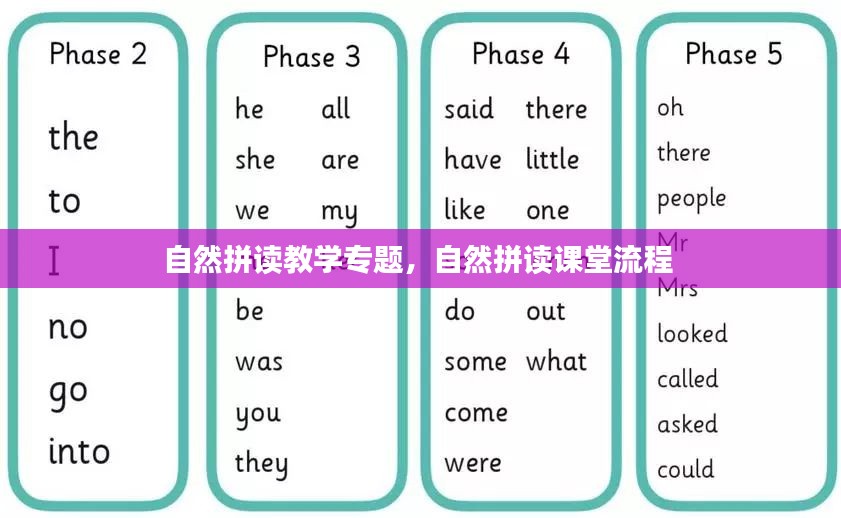 自然拼读教学专题，自然拼读课堂流程 