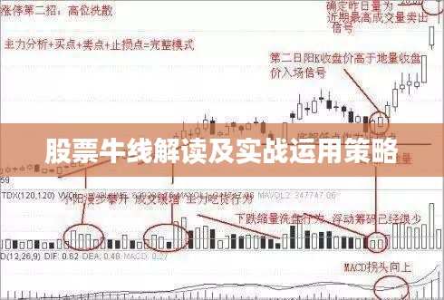 股票牛线解读及实战运用策略