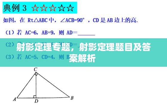 射影定理专题，射影定理题目及答案解析 