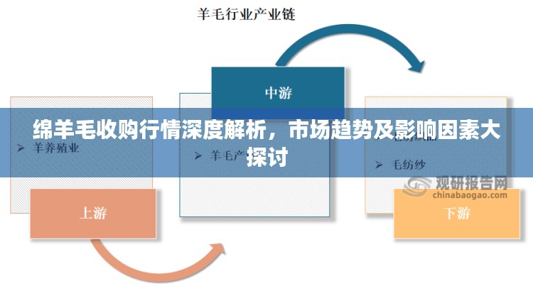 绵羊毛收购行情深度解析，市场趋势及影响因素大探讨