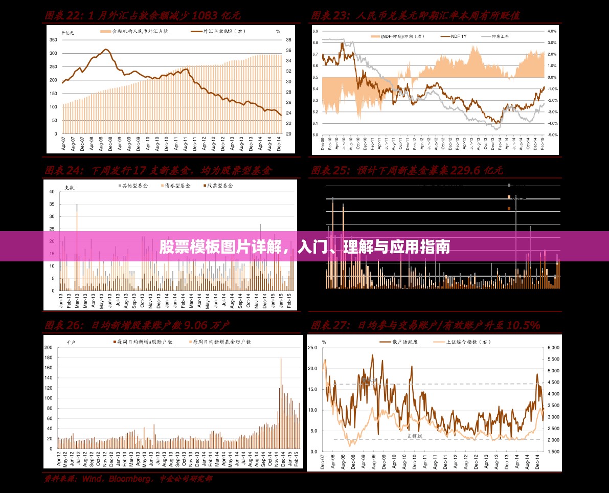 股票模板图片详解，入门、理解与应用指南