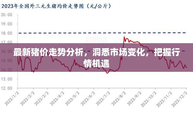 最新猪价走势分析，洞悉市场变化，把握行情机遇