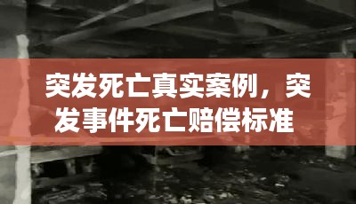 突发死亡真实案例，突发事件死亡赔偿标准 