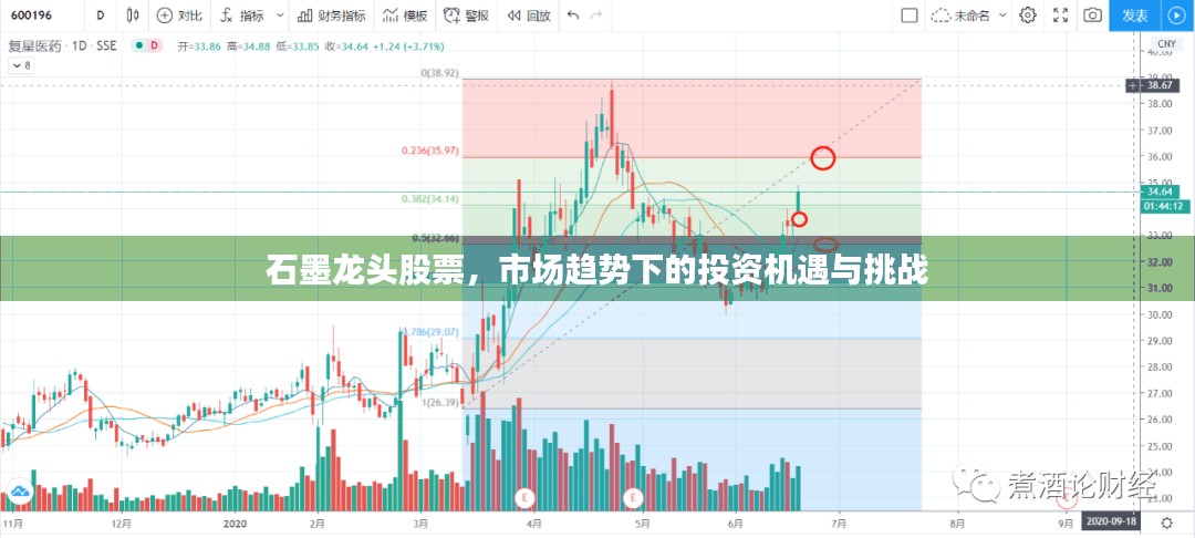 石墨龙头股票，市场趋势下的投资机遇与挑战