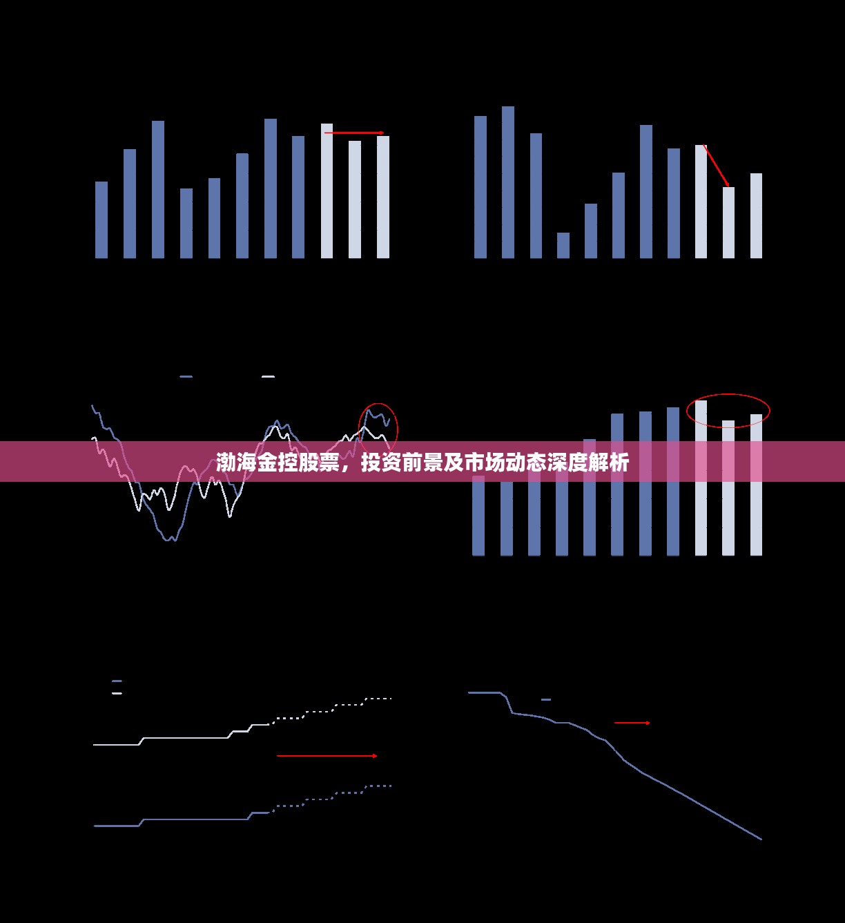 渤海金控股票，投资前景及市场动态深度解析