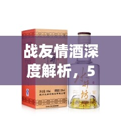 战友情酒深度解析，52度价格表与品牌背后的故事