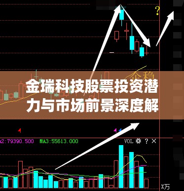 金瑞科技股票投资潜力与市场前景深度解析