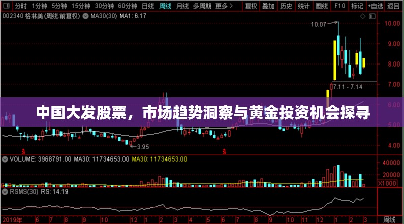 中国大发股票，市场趋势洞察与黄金投资机会探寻