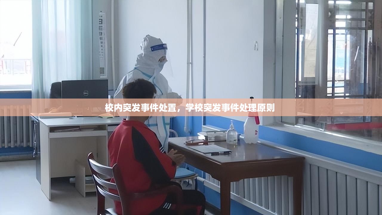 校内突发事件处置，学校突发事件处理原则 