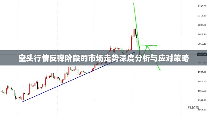 空头行情反弹阶段的市场走势深度分析与应对策略